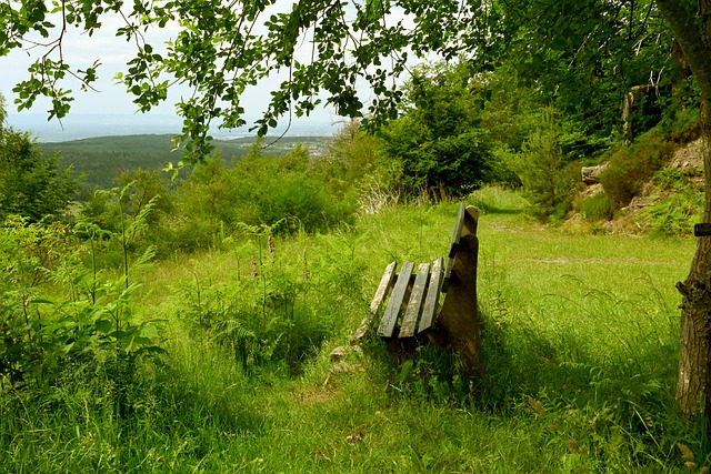 并将比利时 并将比利时